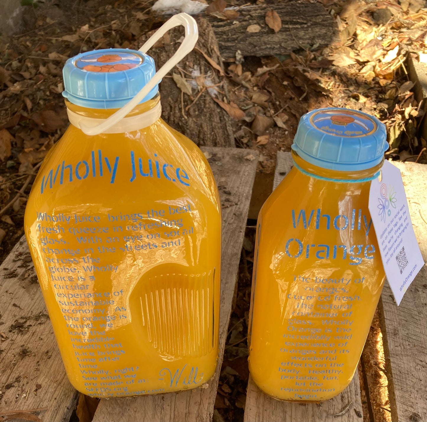 Fresh Orange Juice - Delivery